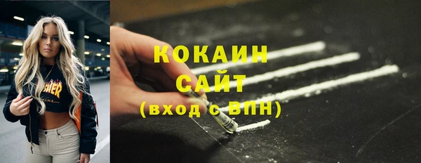 эйфоретик Арсеньев