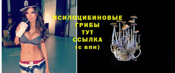 эйфоретик Арсеньев
