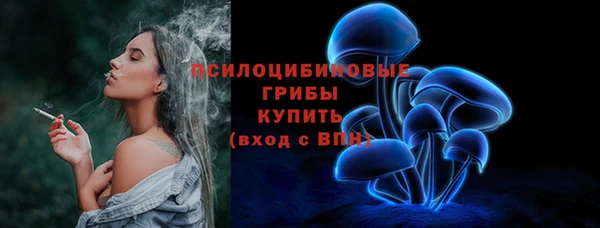 соль ск Аркадак