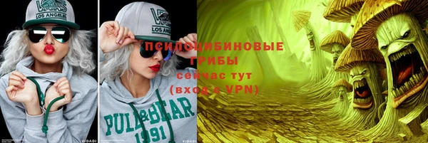 эйфоретик Арсеньев