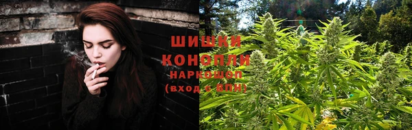 эйфоретик Арсеньев