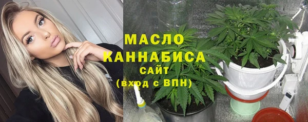 эйфоретик Арсеньев