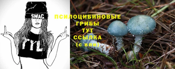 эйфоретик Арсеньев